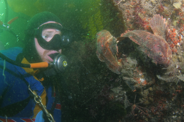 BUFFALO SCULPINS IN WRECK